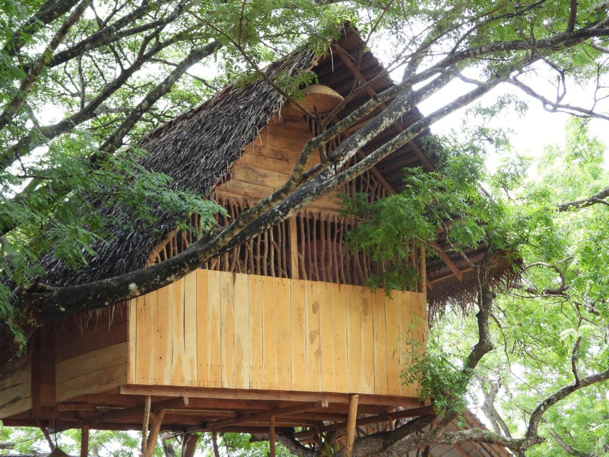 Yala Village Eco Tree House Tissamaharama Exterior foto
